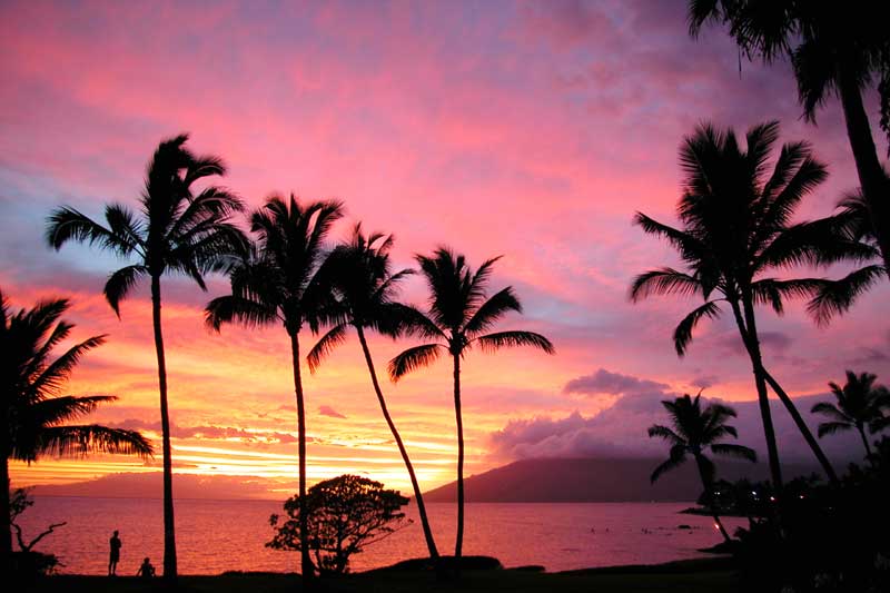 Bahama Sunset